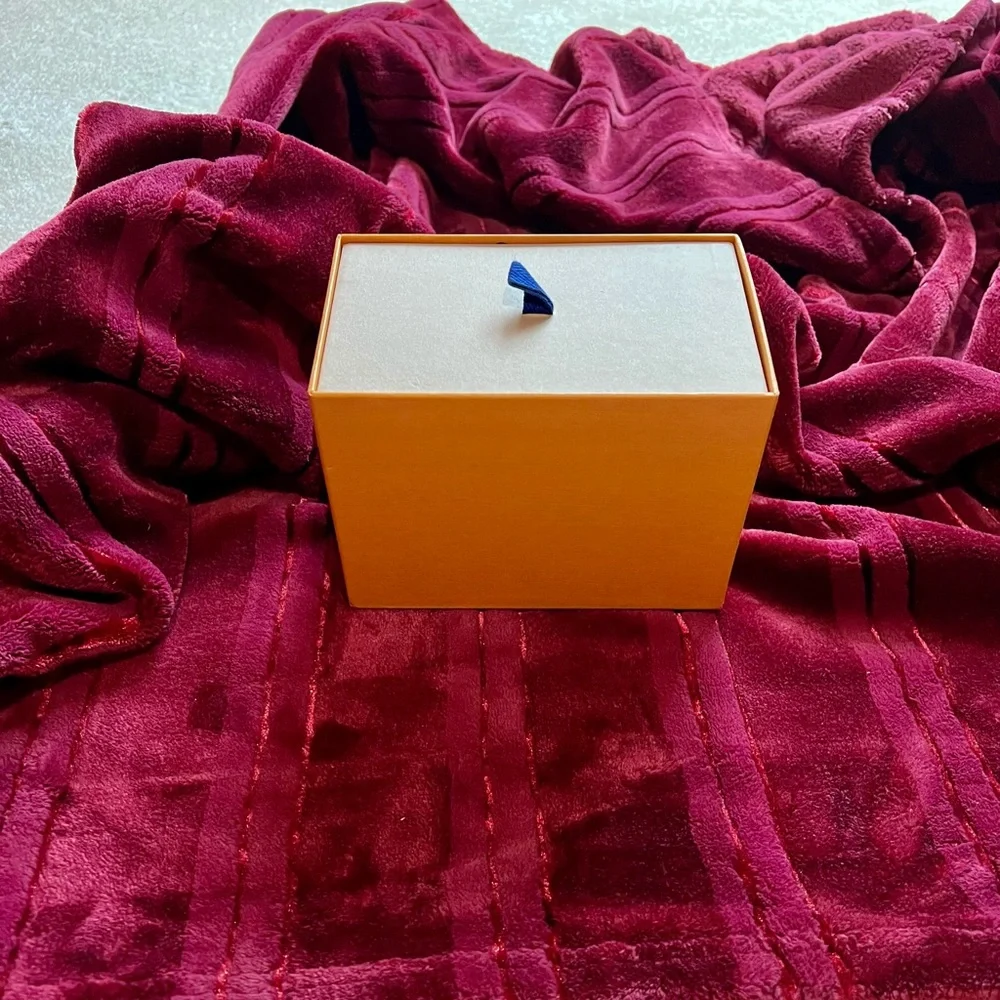 Authentic Louis Vuitton Box - Picture 2 of 13
